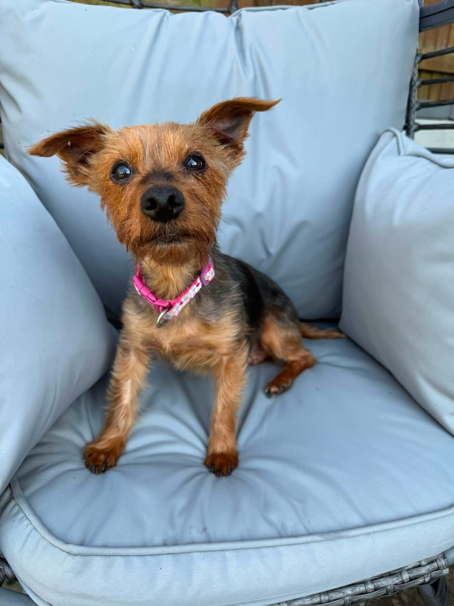 Tilly 