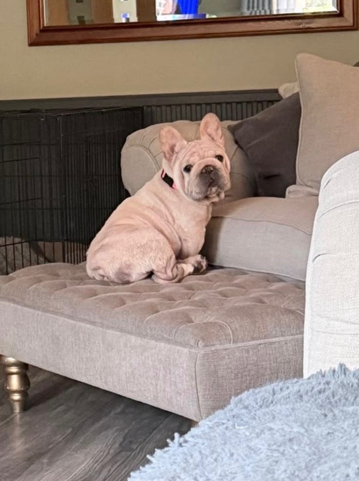 Prudence💗🥹  – RESERVED